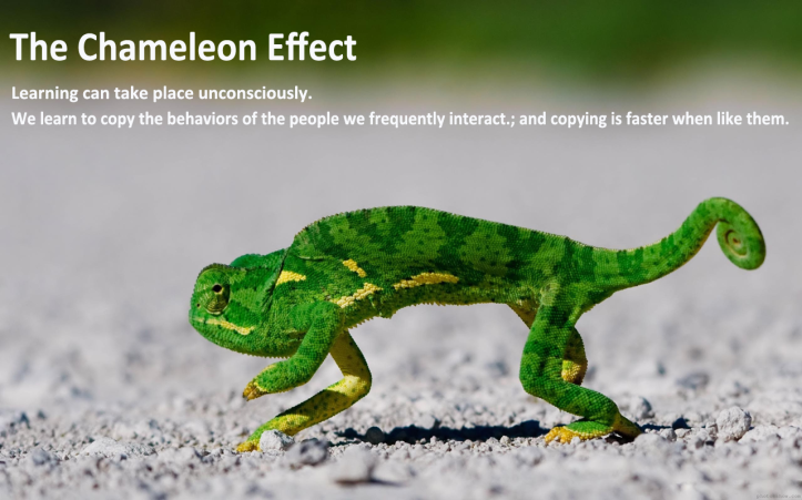 The Chameleon Effect